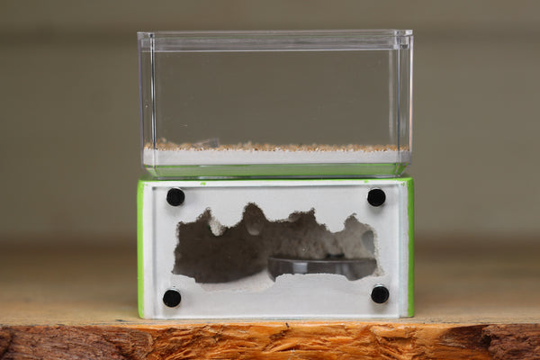Mini Hearth (Lime 1413)