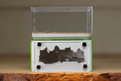 Mini Hearth (Lime 1413)