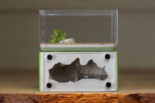 Mini Hearth (Lime 1414)