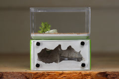 Mini Hearth (Lime 1414)