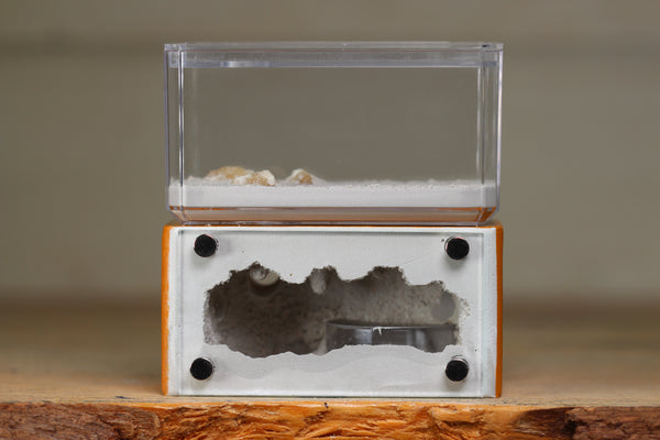 Mini Hearth (Terra 1418)