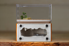 Mini Hearth (Terra 1419)