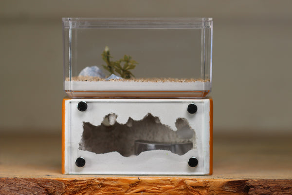 Mini Hearth (Terra 1420)