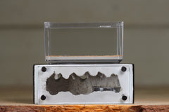 Mini Hearth XL (Black 4060)