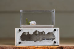 Mini Hearth XL (Bone 4063)