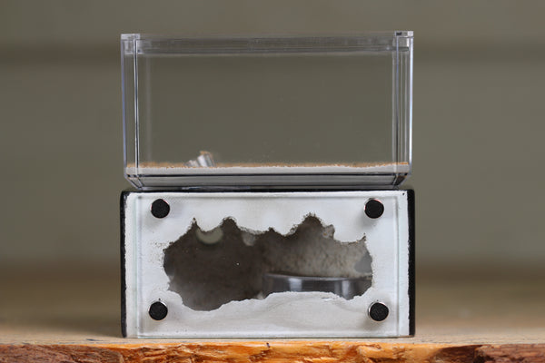Mini Hearth (Black 1500)