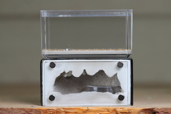 Mini Hearth (Black 1502)