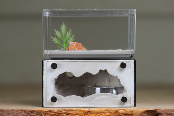 Mini Hearth (Black 1503)
