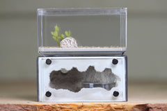 Mini Hearth (Grey 1507)