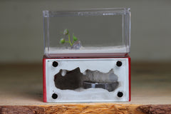 Mini Hearth (Red 3045)