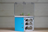 Casita III (Aqua Blue 5154)(MQ BOX)
