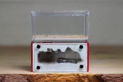 Mini Hearth (Red 3175)