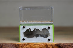 Mini Hearth (Lime 3193)