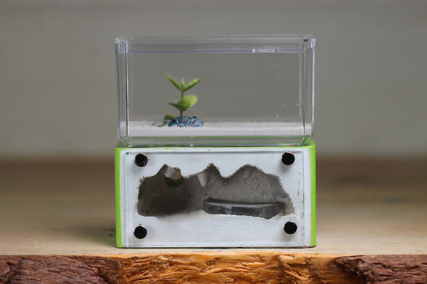 Mini Hearth (Lime 3194)