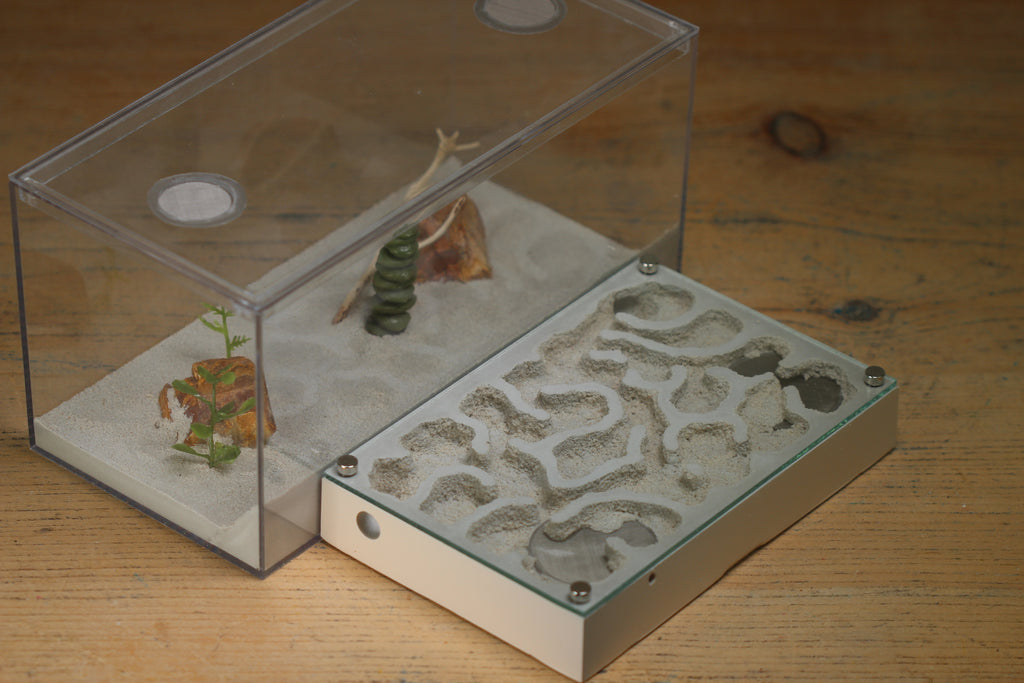 Mini Labyrinth (Bone 6613) – Tar Heel Ants
