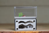 Mini Hearth (Bifurcated)