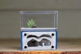 Mini Hearth (Bifurcated)