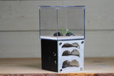 Casita III (Black 421)(MQ BOX)