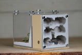Fortress (Type III)(Beige 262)(MQ Box)