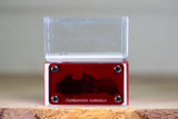 Mini Hearth Type III (Red 729)(Special Offer)