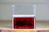 Mini Hearth Type III (Red 732)(Special Offer)