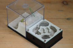 Lair Formicarium (Black 564)