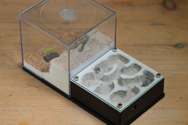 Fallen Fortress (Black 551)