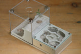 Lair Formicarium (Bone 566)(MQ Box)