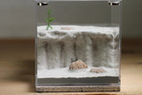 Lair Formicarium (Bone 566)(MQ Box)