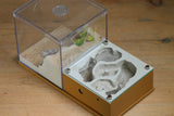 Lair Formicarium (Brown 575)