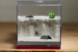 Lair Formicarium (Red 570)