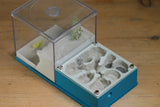 Fallen Fortress (Aqua Blue 561)