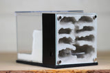Fortress (Type III)(Black 301)