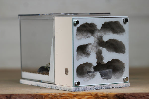 Fortress (Type III)(Bone 307)