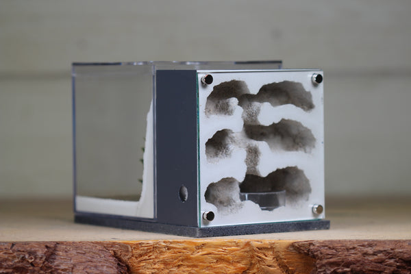 Fortress Formicarium (3043 Grey)