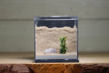 Fortress Formicarium (3043 Grey)
