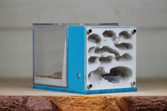 Fortress Formicarium (BF)(3068 Aqua Blue)