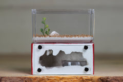 Mini Hearth (BF)(Red 1003)