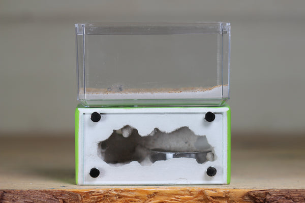 Mini Hearth (BF)(Lime 1004)