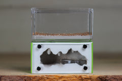 Mini Hearth (BF)(Lime 1005)