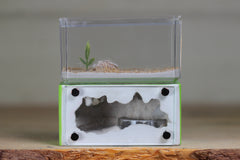 Mini Hearth (BF)(Lime 1007)