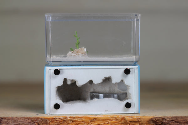 Mini Hearth (BF)(Light Blue 1008)