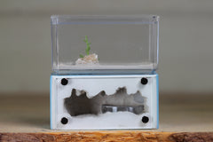 Mini Hearth (BF)(Light Blue 1008)