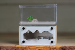 Mini Hearth (BF)(Beige 1016)