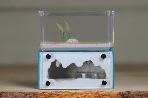 Mini Hearth (BF)(Aqua Blue 1020)