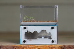 Mini Hearth (BF)(Aqua Blue 1021)
