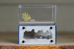 Mini Hearth (BF)(Dark Blue 1025)