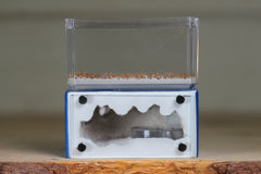 Mini Hearth (BF)(Dark Blue 1023)