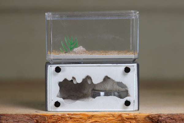 Mini Hearth (BF)(Grey 1033)