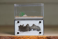Mini Hearth (BF)(Grey 1033)